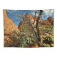 thumbnail image 5 of BCIIG Desert Landscape Rocks Tapestry Wall Hanging Unique Style Graphic Tapestries Home Wall Decor Art for Living Room Bedroom Dorm Farmhouse Apartment 60x50inch, 5 of 6