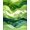 Green, Pattern 15, variant on ODIKA Golf Koi Bug Inspired Botanical Fern Fronds Woodland Motifs Pond Pet Friendly & Kids Safe Play for Playroom, Bedroom, Reading Nook