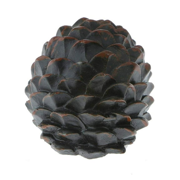 Tizuqe Secret Compartment Box Safe to Hide Money Pills Jewelry Pinecone Hider Security
