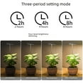 thumbnail image 4 of LED Full Spectrum Plant Growth Lamp with Adjustable Timer & Extendable Rod, IP54 Waterproof Dustproof, Energy-Efficient Lighting for Indoor Flowers, Green Plants, Succulents – USB Angel Ring Design, 4 of 4