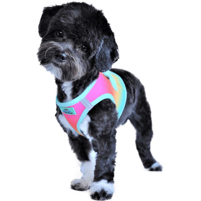 American River Choke-Free Dog Harness by Doggie Design - Beach Party Ombre