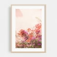 thumbnail image 2 of Bougainvillea on Pastel Pink - Cascais Lisbon Portugal Photography Floral Botanical Flowers Pastel Summer Minimalist Tropical Unframed Wall Art Print 4 x 6 inches, 2 of 60