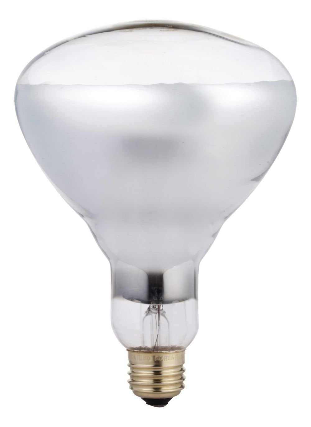 250 Watt Led Flood Light Bulbs | Shelly Lighting