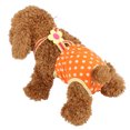 thumbnail image 2 of Pañal De Algodón Naranja Para Perros Pantalones Sanitarios 6 Tamaños De Perros Medianos Para Perros Perros Pequeños ANGGREK Otros, 2 of 4