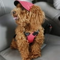 thumbnail image 5 of Pet Sun Protection Hats Multi Pattern Optional for Dogs Puppy Baseball Hat with Ear Holes, 5 of 10