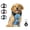 Blue, variant on Emperor Pets Black Dog Harness Medium Sized Dog - No Pull Dog Harness with 2 Leash Clips, Premium Oxford Soft Padded Harness Medium Size Dog, Medium Dog Harness (M, Black)