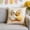 B, variant on AURIGATE Easter Ultra Soft Printed Throw Pillow Cover, 5 Styles Cute Animal Pattern Cloth Cushion Case for Spring Home Sofa Easter Holiday Decor