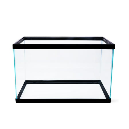 Aqua Culture 10-Gallon Glass Aquarium (Best 20 Gallon Fish Tank Setup)