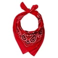 thumbnail image 2 of Valucap ValuMask Bandana, One Size, Red Paisley, 2 of 2
