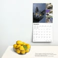 thumbnail image 6 of Cat Lovers | 2024 12x24" (Hanging) Square Wall Calendar | BrownTrout, 6 of 8