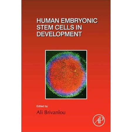 Pre-Owned Current Topics in Developmental Biology Human Embryonic Stem Cells in Development: Volume 129 Book 129 (Hardcover)