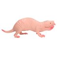 thumbnail image 4 of Mole Figurine Toy, Mole Figurine Safe Interesting Widely Use Eco Friendly Lifelike  For Collection For Home Decoration, 4 of 8