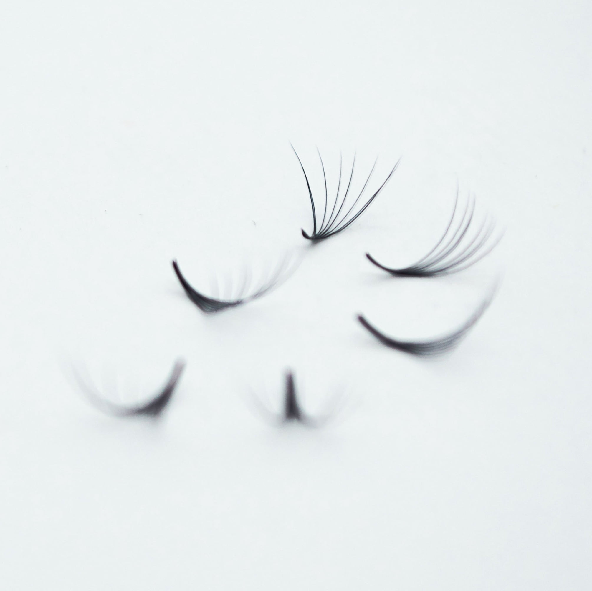 Mixed Length 8D Lashes. Curl C, 1200 Premade Volume Fans. Eyelash Extension. Handmade and Gorgeously-Crafted!