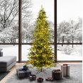 thumbnail image 2 of Vickerman 7.5' x 62" Kamas Fraser Fir Artificial Christmas Tree, Warm White Dura-lit LED Lights, 2 of 2