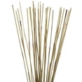 thumbnail image 2 of Vickerman 40" Natural Elephant Reed, 10 oz Bundle, Dried, 2 of 4