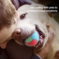 thumbnail image 1 of CBFFDC TPR Dog Ball High Bouncy Interactive Dog Ball Toy Bite Resistant Relieves Boredom Color Blocked Training Ball for Dogs, 1 of 6