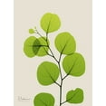 thumbnail image 2 of Koetsier, Albert 25x32 Gold Ornate Wood Framed with Double Matting Museum Art Print Titled - Natural Greenery 3, 2 of 4