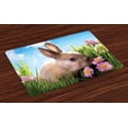 thumbnail image 1 of Ambesonne Easter Place Mats Set of 4, Grass and Spring Flowers, Standard Size, Multicolor, 1 of 4