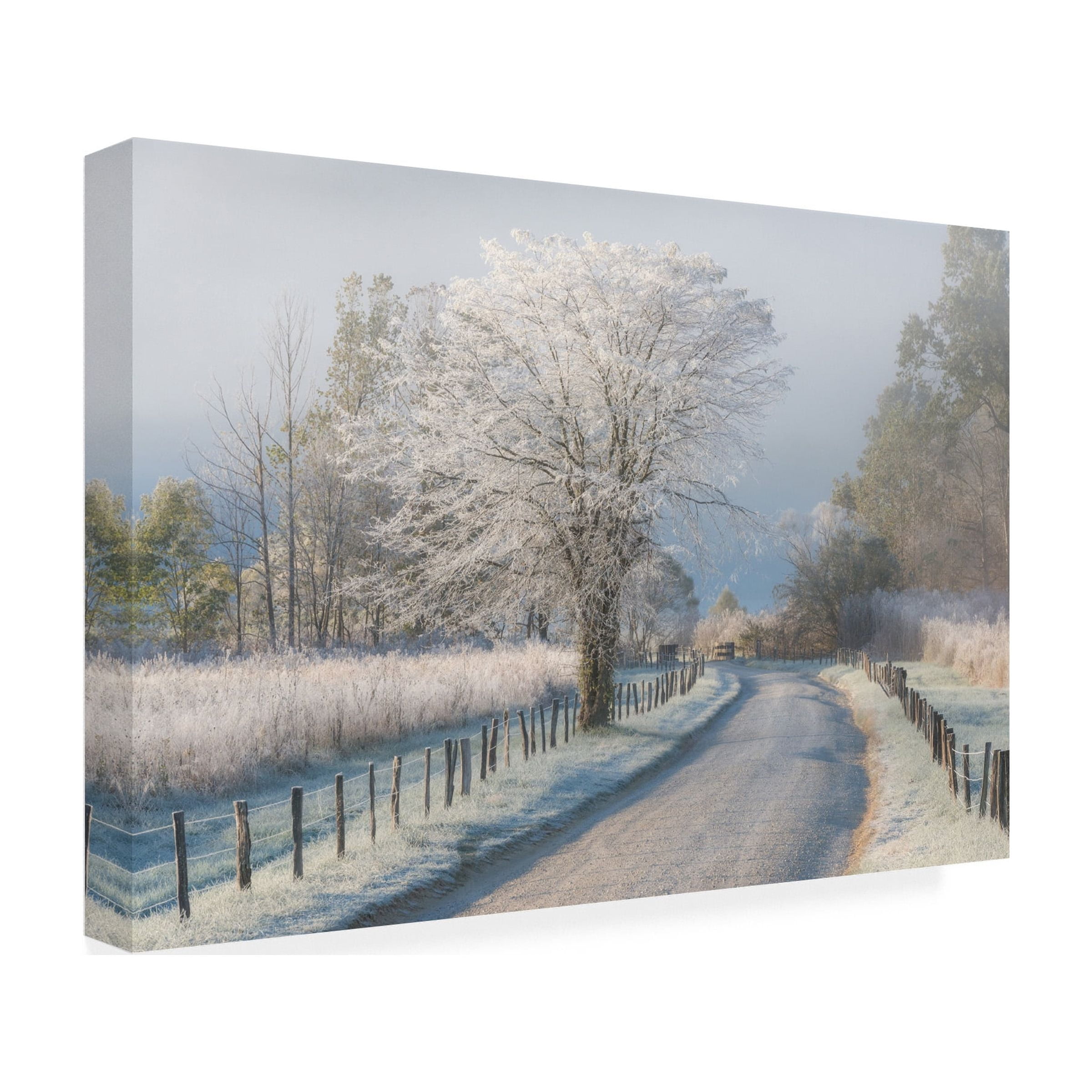 Chris Moore 'A Frosty Morning' Canvas Art