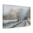 thumbnail image 4 of Chris Moore 'A Frosty Morning' Canvas Art, 4 of 4