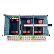 Hatching Time Chick Brooder - 4 Layer H: 9.5 (Power-Washable, Durable, ABS Plastic) | Cimuka