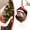 earthy tones, variant on Cozy Christmas Acrylic Animal Ornaments, Cute Squirrel with Berries in Acorn Shell Hanging Decor, Rustic Nature Themed Tree & Home Decor for Animal Lovers(2 Pack)