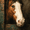 Horse, variant on Antique Moody Equestrian Canvas Wall Art, Rustic Horse Oil Painting Print, Farmhouse Decor