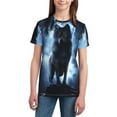 thumbnail image 3 of Wukai Night Scene of Wolves Youth Unisex Short Sleeve T-Shirt for Boys, Girls, Teens, and Kids-X-Small, 3 of 7