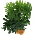 thumbnail image 2 of Decoración de plantas para reptiles, decoración de plantas artificiales, decoración de hábitat para reptiles, decoración de terrario para reptiles, 2 of 6