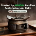 thumbnail image 4 of Ceramic Aromatherapy Stove Essential Oil Burner, New Handmade Ceramic Candle Wax Melts Warmer with Tealight Holder, Zen Palo Santo Diffuser  for Home Office Meditation Relaxation, 4 of 6