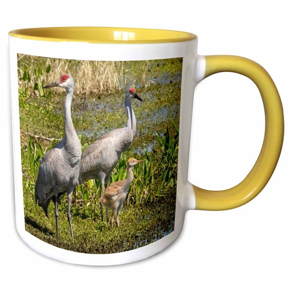 3drose, Florida Sandhill Crane Adult with Colt, Florida, Usa, 11oz Two-tone Yellow Mug