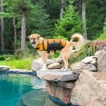 thumbnail image 4 of Dogs Need Safety Vests Too! Orange Life Jackets Aquatic Pet Preservers Boating Water Safety (xSmall), 4 of 7