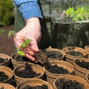 Jiffy Organic Seed Starting Biodegradable Peat Pots - Breathable - 100 Pack, 5 in Diameter