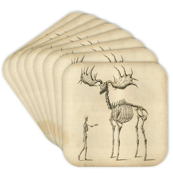 3drose, Print of Fossil of Man Vs Elk Science Sketch, Set of 8 Coasters - Soft