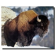 CADecor Blanket Funny American Bison Buffalo Wildlife Animal Fleece Throw Blanket 58x80 inches