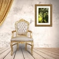 thumbnail image 3 of Hausenflock, Alan 17x24 Gold Ornate Wood Framed with Double Matting Museum Art Print Titled - Winding River II, 3 of 4