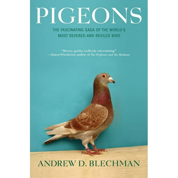 Pigeons: The Fascinating Saga of the World's Most Revered and Reviled Bird, (Paperback)