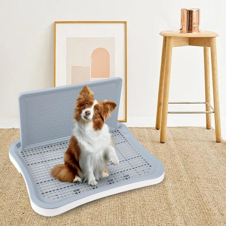 Poop mat hotsell for dogs