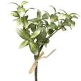 thumbnail image 3 of Northlight Satin Pothos Leaf Artificial Bundles - 13" - Green - Set of 6, 3 of 6