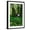 Black Frame, variant on Art.com Olympic National Park, Washington - Hoh Rain Forest Art Print by Lantern Press, 12" x 18"
