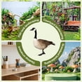 thumbnail image 5 of ICERUN Garden Statues,Acrylic Canada Goose Sculpture Garden Decorations,Natural Pose Animal Statues Outdoor Statues,Style2, 5 of 7