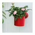 thumbnail image 5 of Wall Mates Push 'N Stay Round Suction Flower and Plant Holder, 5 of 5