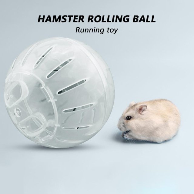 Pet de plástico transparente roedor mini jogging bola hámster ejercicio de pelota juguetes de animales pequeños juguete de juguete juguete juguete