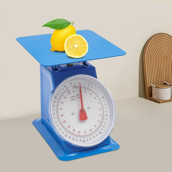 Dwellnix Analog Food Scale with Large Dial and Dual Units 44 Lbs Spring Mechanism for Butcher Bakery or Home Kitchen Use