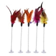 thumbnail image 1 of kusrkot Chat Teaser 5PC Fil Ressort Chat Jouet avec Plume et Ventouse de Cloche Style2, 1 of 9