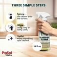 thumbnail image 4 of ProSol Works Multisurface All Purpose Cleaner Spray, 16 oz, 4 of 10