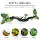thumbnail image 3 of unbranded Natural Para Terrarios Con Rama De Resina Para Reptiles Y, 3 of 8