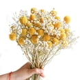 thumbnail image 2 of Bolsas de flores secas Bearachild 10 color amarillo dorado, 2 of 6