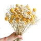 thumbnail image 2 of Bolsas de flores secas Bearachild 10 color amarillo dorado, 2 of 6
