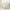 Beige, variant on decorUhome Decorative Throw Pillow Covers 18x18 Set of 2, Soft Plush Faux Fur Wool Pillow Covers for Couch, Cream White